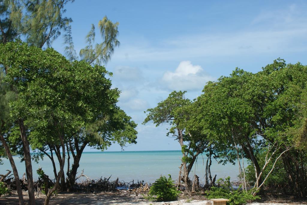 Apartament Bonita'S Caye Caulker Pokój zdjęcie